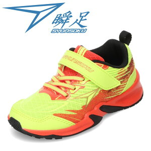 V\N u SJJ 2081K LbYC qC C V[Y 2E Xj[J[ u ^C ʊw ʉ ̈ qC j̎q ʃt@Xi[ Obv [JbgXj[J[ lC uh CG[