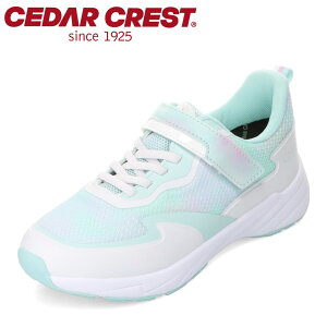 Z_[NXg CEDAR CREST CC-3134 LbYC C V[Y 3E Xj[J[ h  y qC ̎q ʋC bV Obv [JbgXj[J[ ^C ʉ ʊw ̈ ~g