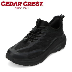 ySiP5{I6`9܂ŁzZ_[NXg CEDAR CREST CC-5500 YC C V[Y 2E Xj[J[ Ȃ ʋC bV h S Lk [JbgXj[J[ Vv ubN