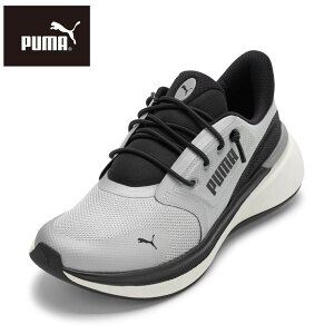 v[} PUMA 312811.01M YC C V[Y 2E Xj[J[ jO EH[LO V[Y y ϐ \tgR EXO SHIFT Y2K NbV [JbgXj[J[ lC uh CgO[