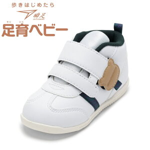 V\N u SJB 1620 LbYC C V[Y 3E Xj[J[ LbY xr[ t@[Xg V[Y u ʉ qC ʉ S  tBbg lC uh zCg