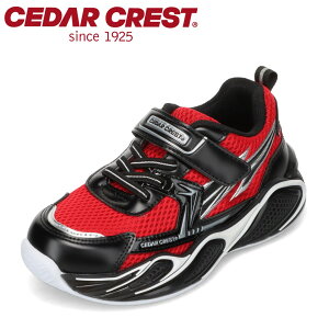 Z_[NXg CEDAR CREST CC-3135 LbYC C V[Y 3E Xj[J[ LbY  sJsJ tbV ʊw ʉ qC j̎q@̈ ^C [JbgXj[J[  bh