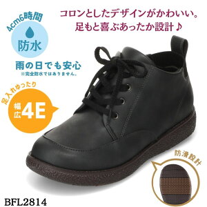 oCItBb^[ biofitter BFL2814 fB[XC C V[Y 4E JWA V[Y h h h ɂ  J R hL Vv ubN