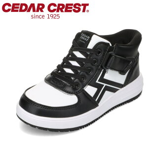 ySiP5{I6`9܂ŁzZ_[NXg CEDAR CREST CC-3138 LbYC C V[Y 2E Xj[J[ LbY ^C ʊw ̈ qC j̎q XpbgV[Y g킸ɗ nCJbg ~