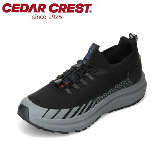 ySiP5{I6`9܂ŁzZ_[NXg CEDAR CREST CC-9800 YC C V[Y 2E Xj[J[ h  NbV   [JbgXj[J[ Vv ubN×O[