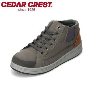 Z_[NXg CEDAR CREST CC-5610 fB[XC C V[Y 2E Xj[J[ u[c h h AEghA V[Y J Lv nCLO nCJbg ~bhJbg Xj[J[ lC uh 
