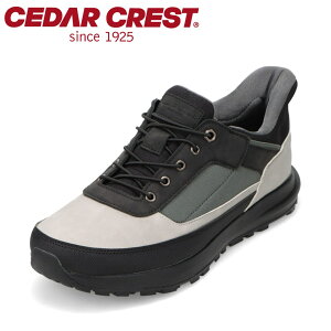 ySiP5{I6`9܂ŁzZ_[NXg CEDAR CREST CC-60880W YC C V[Y 4E Xj[J[ h XpbgV[Y g킸ɗ ɂ h L 4E  [JbgX