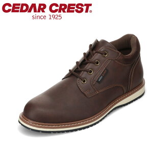 Z_[NXg CEDAR CREST CC-1262 YC C V[Y 2E JWA V[Y h h rWlX ʋ ItBX  ~ Vv _[NuE