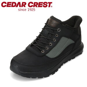 Z_[NXg CEDAR CREST CC-60881 YC C V[Y 4E Xj[J[ h XpbgV[Y g킸ɗ L 4E  [JbgXj[J[ lC uh ubN×O[