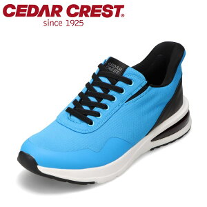 �y�S�iP5�{�I6���`9���܂Łz�Z�_�[�N���X�g CEDAR CREST CC-60910 �����Y�C �C �V���[�Y 2E �X�j�[�J�[ �h�� �V���[�Y �X�p�b�g�V���[�Y ����g�킸�ɗ����� �N�b�V������ �Ռ��z�� ���L �R�� ���[