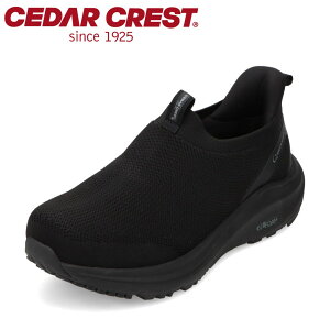 �y�S�iP5�{�I6���`9���܂Łz�Z�_�[�N���X�g CEDAR CREST CC-9860M �����Y�C �C �V���[�Y 2E �X�j�[�J�[ �X���b�|�� �h�� �V���[�Y �X�p�b�g�V���[�Y ����g�킸�ɗ����� ����ɂ��� �h�� �R�� �h�L 