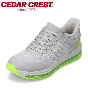 �Z�_�[�N���X�g CEDAR CREST CC-5007M �����Y�C �C �V���[�Y 2E �X�j�[�J�[ �X�p�b�g�V���[�Y ����g�킸�ɗ����� �n���Y�t���[ ���[�J�b�g�X�j�[�J�[ �l�C �u�����h �O���[×�O���[��