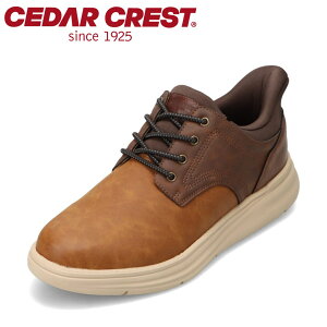 �Z�_�[�N���X�g �E�H�b�V���u�� CEDAR CREST CC-71250 �����Y�C �C �V���[�Y 4E �X�j�[�J�[ �h�� �V���[�Y �X�p�b�g�V���[�Y ����g�킸�ɗ����� ���L 4E ������� ���[�J�b�g�X�j�[�J�[ �l�C �u��