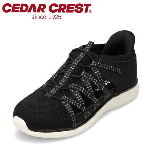 �Z�_�[�N���X�g �E�H�b�V���u�� CEDAR CREST CC-2528 ���f�B�[�X�C �C �V���[�Y 2E �X�j�[�J�[ �X�p�b�g�V���[�Y ����g�킸�ɗ����� �n���Y�t���[ �ʋC�� ���b�V�� ���[�J�b�g�X�j�[�J�[ �T���_