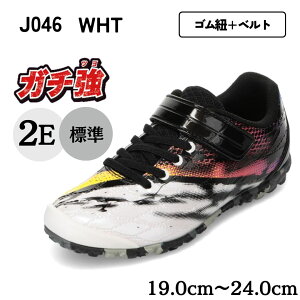 ATq ASAHI J046 K` v  ŋLbYXj[J[ LbYC C V[Y 2E Xj[J[ ^C ʊw ̈ ܐ K[h [JbgXj[J[ ˔ tN^[ zCg
