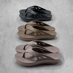 y10OFFN[|zEVAT_ Y T_ T_ Jo[T_ [V[Y Xbp NbV _炩 tBbg Vv t[{ freeebo 2414M O[