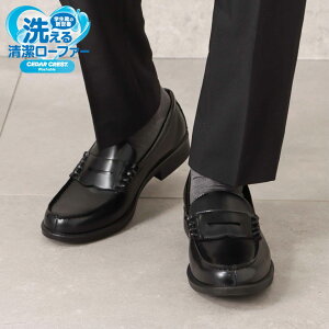 �􂦂郍�[�t�@�[ �����Y ���􂢉� ���[�t�@�[ �w�� �X�N�[�����[�t�@�[ �r�W�l�X�V���[�Y �t�H�[�}�� �� �u���b�N �a�m�C �ʋ� �ʊw �w�Z �j�q �w���C CEDAR CREST �Z�_�[�N���X�g�E�H�b�V���u