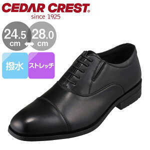 Z_[NXg rWlXV[Y Y vC ubN  L Ch 傫TCY y y A ʋ N[g d rWlX ItBX    tH[} CEDAR CREST CC-1