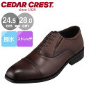 【20%OFFクーポン】セダークレスト ビジネスシューズ メンズ 革靴 ブラウン 茶色 幅広 ワイド 大きいサイズ 軽い 軽量 通勤 仕事 ビジネス オフィス 結婚式 フォーマル CEDAR CREST CC-1338 チヨダ 靴