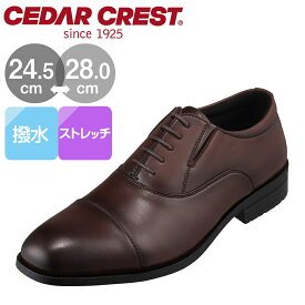 セダークレスト ビジネスシューズ メンズ 革靴 ブラウン 茶色 幅広 ワイド 大きいサイズ 軽い 軽量 通勤 仕事 ビジネス オフィス 結婚式 フォーマル CEDAR CREST CC-1338 チヨダ 靴