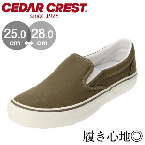 セダークレスト CEDAR CREST CC-9410 メンズ靴 靴 シューズ 3E相当 スリッポン ローカットスニーカー eco エコ SDGs 定番 シンプル カーキ
