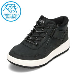 Z_[NXg CEDAR CREST CC-3127 LbYC qC C V[Y 2E Xj[J[ Xpbg V[Y h LbY ^C g킸ɗ EȒP [JbgXj[J[ ~bhJbgXj