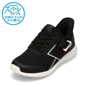 Z_[NXg CEDAR CREST CC-3128W LbYC C V[Y 2E XpbgV[Y g킸ɗ [JbgXj[J[ nYt[ ܂ܗ lC uh ubN