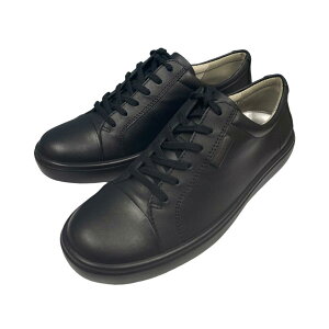 Xj[J[ ALX\{ ASC 0420 / fB[X L V[Y ₷