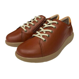 Xj[J[ ALX\{ ASC 5270 uE fB[X 3E L Ch {v v  TCht@Xi[t