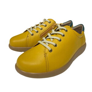 Xj[J[ ALX\{ ASC 5270 }X^[h fB[X 3E L Ch {v v  TCht@Xi[t