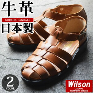 yzWilson T{T_ Y v { T_ U[ VRv OJT_ Xb| YT_ YV[Y JWAV[Y L 3E EEE y ʋC y 
