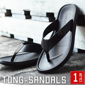 yzT_ Y gOT_ RtH[gT_ YT_ Xb| Xj[J[ tbgT_ X|[cT_ l ʋC j h y  C Y