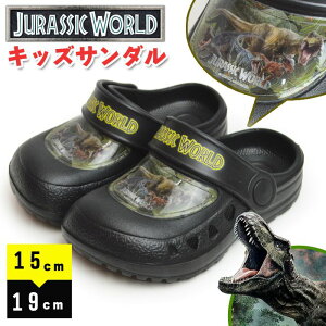 ubNtCf[ySiPT5{zWVbN[h T_ LbY 2WAY  NbO T{T_ AEghAT_ r[`T_ ̑n T-REX j̎q ̎q Y 