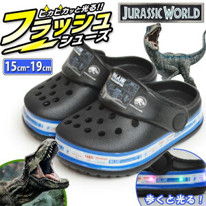 ubNtCf[ySiPT5{zWVbN[h T_ LbY 2WAY T_  NbO T{T_ AEghAT_ r[`T_ tbVT_ T-REX j