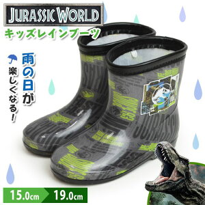 WVbN[h LbY Cu[c h V[Y q C WjA  y CV[Y j̎q ̎q nCJbg ̑n T-REX LN^[ w C ʊw JC y