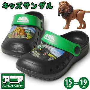 ubNtCf[ySiPT5{zANIA AjA T_ LbY 2WAY Aj}Ahx`[ NbO T{T_ AEghAT_ r[`T_ CI S j̎q ̎q 