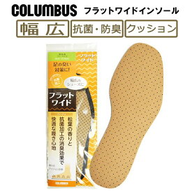 楽天市場 中敷き クッション 消臭の通販