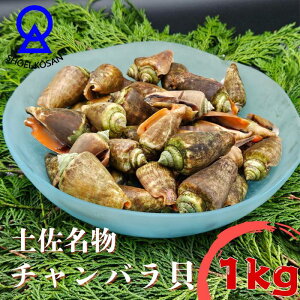y `oL i}KLLj1kg CN mY ̍ ΂L 䥂ōς ܂ Ⓚ Mtg O v[g  CY 