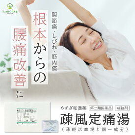 【LINE追加で最大500円オフ】第2類医薬品 疎風定痛湯 腰痛 関節痛 神経痛 筋肉痛 そふうていつうとう 漢方薬 エキス剤 細粒 60包 120包 300包 分包 疎経活血湯 と同一処方 ウチダ和漢薬 薬 そけいかっけつとう