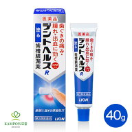 【LINE追加で最大500円オフ】第3類医薬品 デントヘルスR 40g ライオン デントヘルスr 歯肉炎 歯槽膿漏 歯…