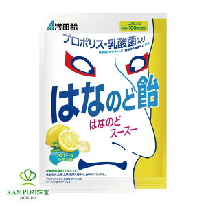 【LINE追加で最大500円オフ】 浅田飴 はなのど飴 60g 栄養機能食品 ビタミンC レモン風味 プロポリス 強力メントール 爽快感 乾燥 咳 イガイガ のど飴 のどあめ