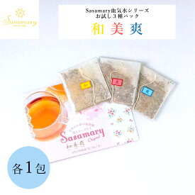 【LINE追加で最大500円オフ】漢方茶 ササマリー 気血水シリーズ お試しパック 3種×各1包 トライアルパック お試しセット 飲み比べ 漢方 ハーブティー 薬膳 薬膳茶 和漢 温活 潤い 乾燥 美容 健康 ダイエット リラックス 健康茶 お茶 かんぽう茶 Sasamary