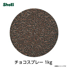 チョコスプレー1kg【送料無料・常温便配送・国内製造・遮光性包材使用】国内工場 製菓用チョコレート チョコレート クレープ 飾りトッピング ドーナッツ 正栄 正栄食品 ホワイトデー カラフル