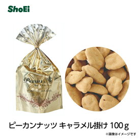 ピーカンナッツキャラメル掛け100g国内工場 国内製造 正栄 正栄食品 shoei ロビニア ナッツ ナッツチョコレート ピーカンナッツ お菓子 手土産 ホワイトデー カラフル