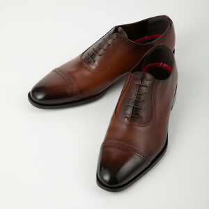 Orobianco 11281 [ Adelaide Oxford ] BROWN IrAR Xg[g`bv vC rWlXV[Y