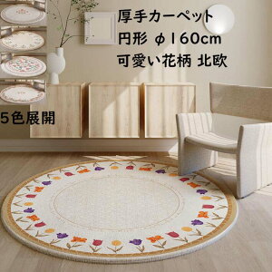 yzO  J[ybg ~`O O~ a160cm ԕ ins k ی^ O}bg jv[g Mtg q Q rO I[V[Y 킢  _ 