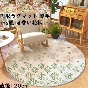 yz O J[ybga120cm ~`O ԕ Ђ܂蕿 `[bv ی^ I[V[Y  ins k O}bg jv[g Mtg _ q Q