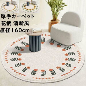 yzO}bg ~`O 160*160cm  J[ybg O ԕ Ђ܂蕿 V jv[g Mtg I[V[Y ~ ی^ k Q rO 킢 イ