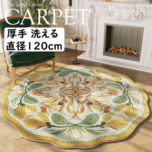 yz~`O  ㎿ ԕ  a120cm 􂦂J[ybg O}bg I[V[Y ~ ی^ VM[O k jv[g Mtg Q rO 킢 