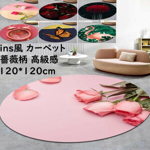 yz~`O KN ԕ ins  a120cm 􂦂J[ybg O}bg I[V[Y Be ~ ی^ k jv[g Mtg Q rO 킢 イ